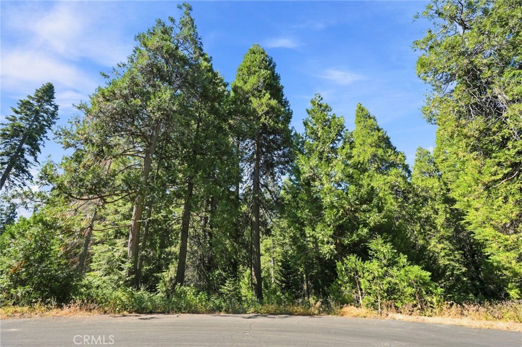 0 Foxglove Lane Property Photo 1