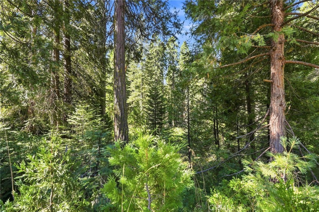 0 Foxglove Lane Property Photo 7