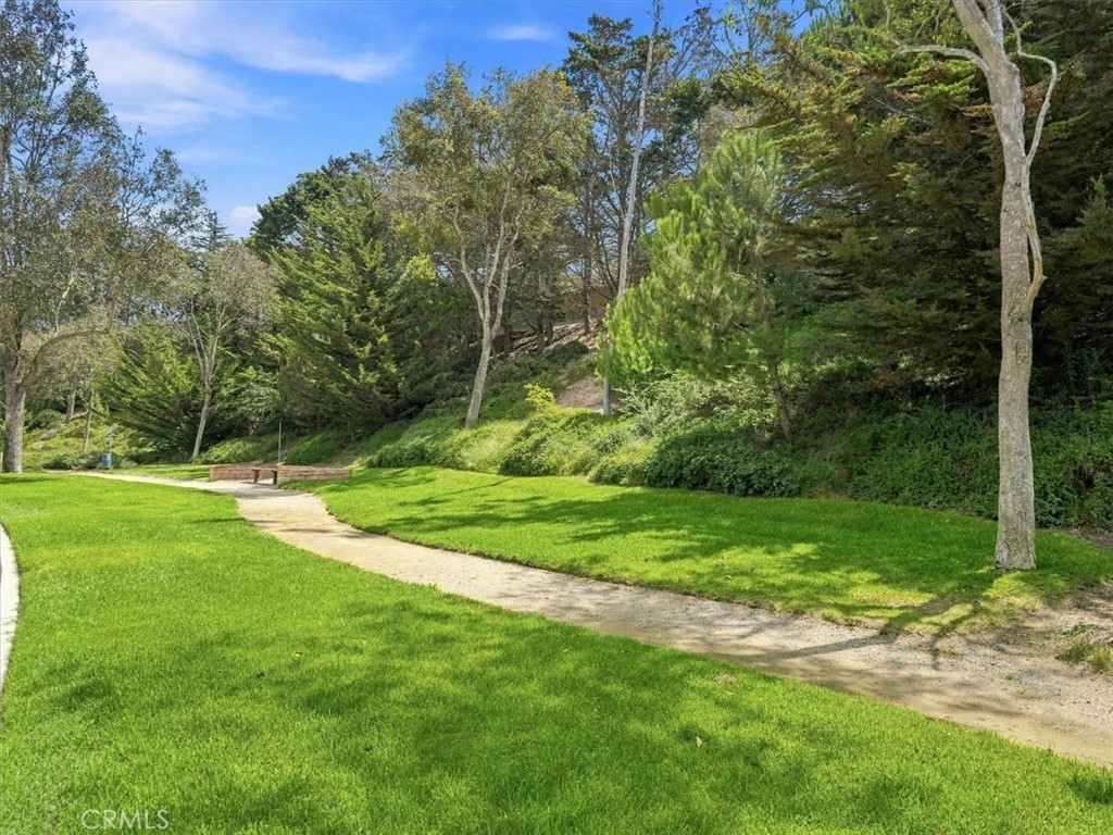 4232 Whispering Pines Property Photo 37