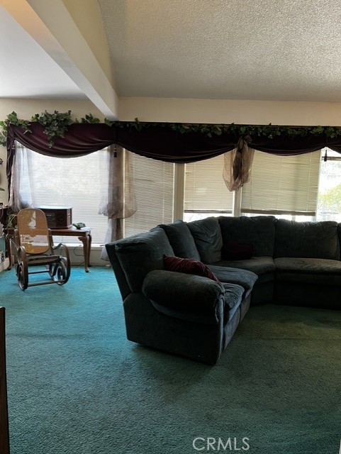 722 E Bunny Avenue Property Photo 19