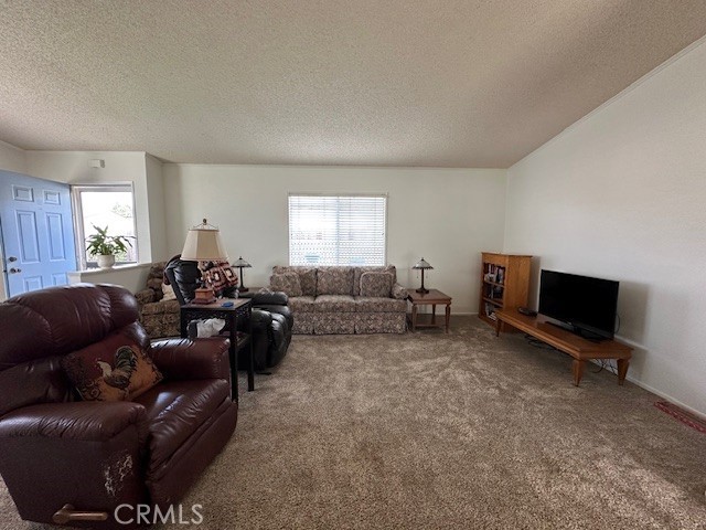 2124 Via Visalia Property Photo 16