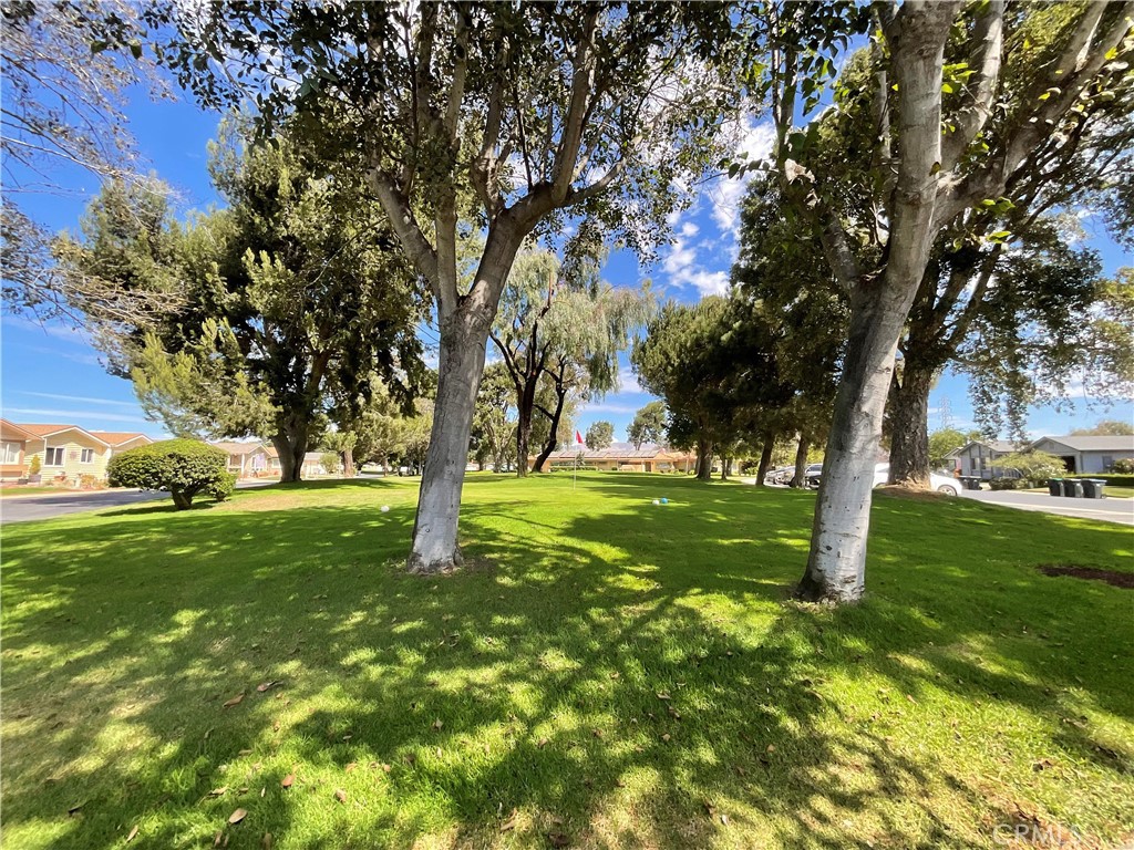 2124 Via Visalia Property Photo 28