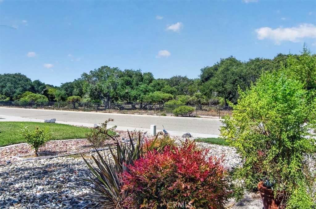 4439 Northoaks Property Photo 30