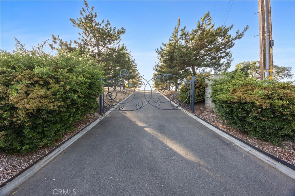 30300 Piebald Court Property Photo 4