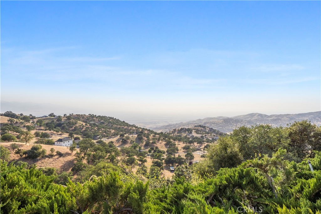 30300 Piebald Court Property Photo 12