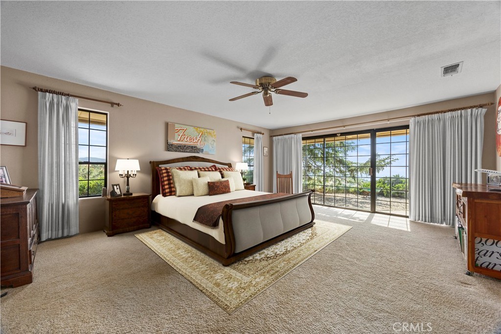 30300 Piebald Court Property Photo 18