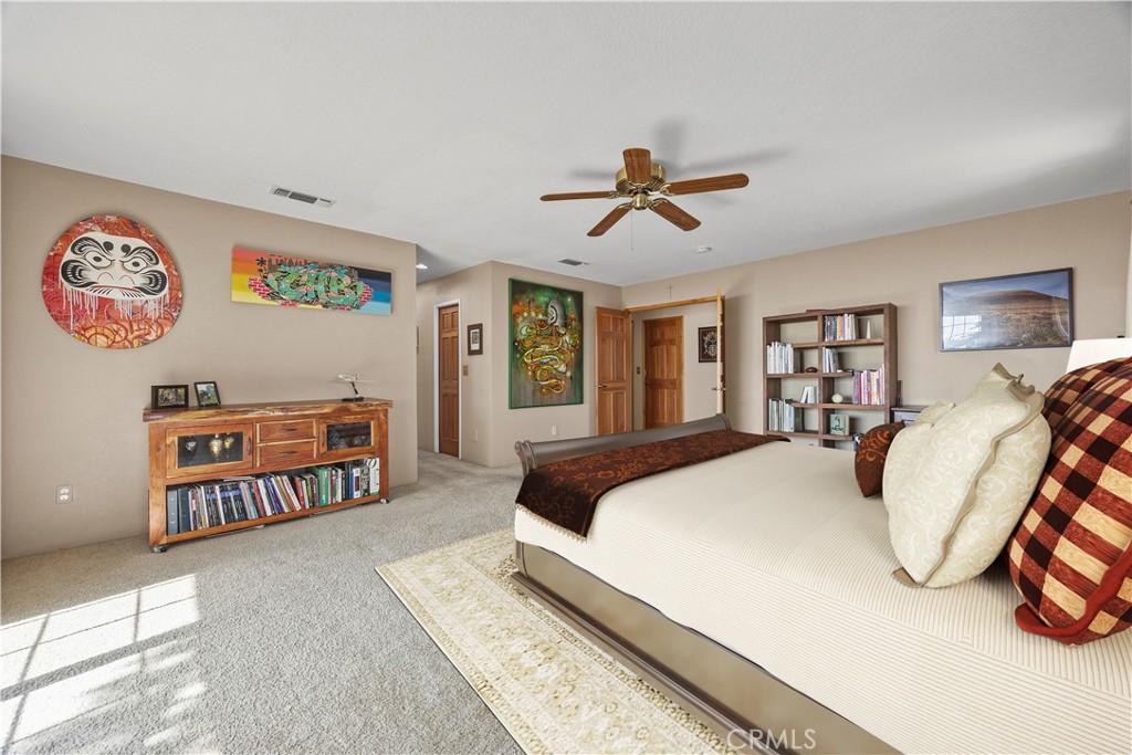 30300 Piebald Court Property Photo 19