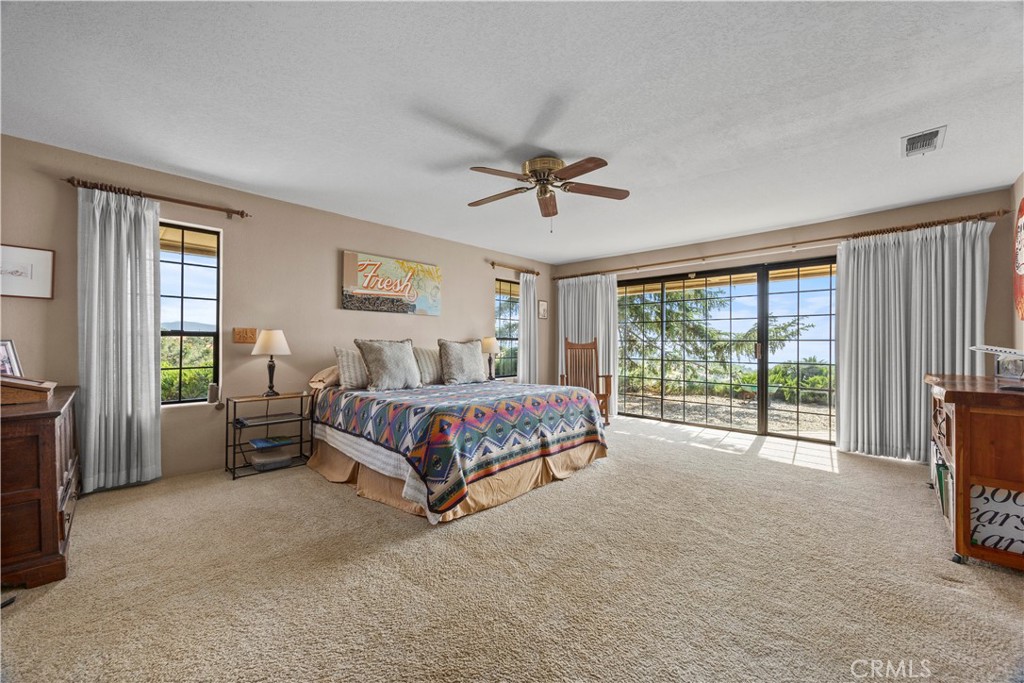 30300 Piebald Court Property Photo 21