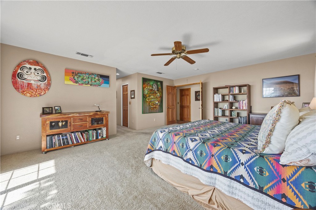 30300 Piebald Court Property Photo 22