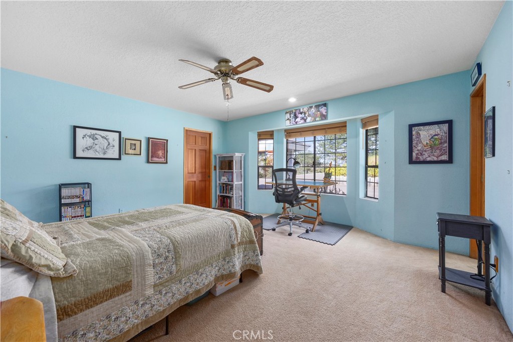 30300 Piebald Court Property Photo 32
