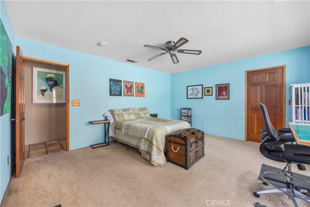 30300 Piebald Court Property Photo 33