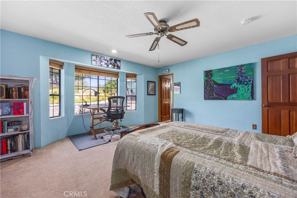 30300 Piebald Court Property Photo 35