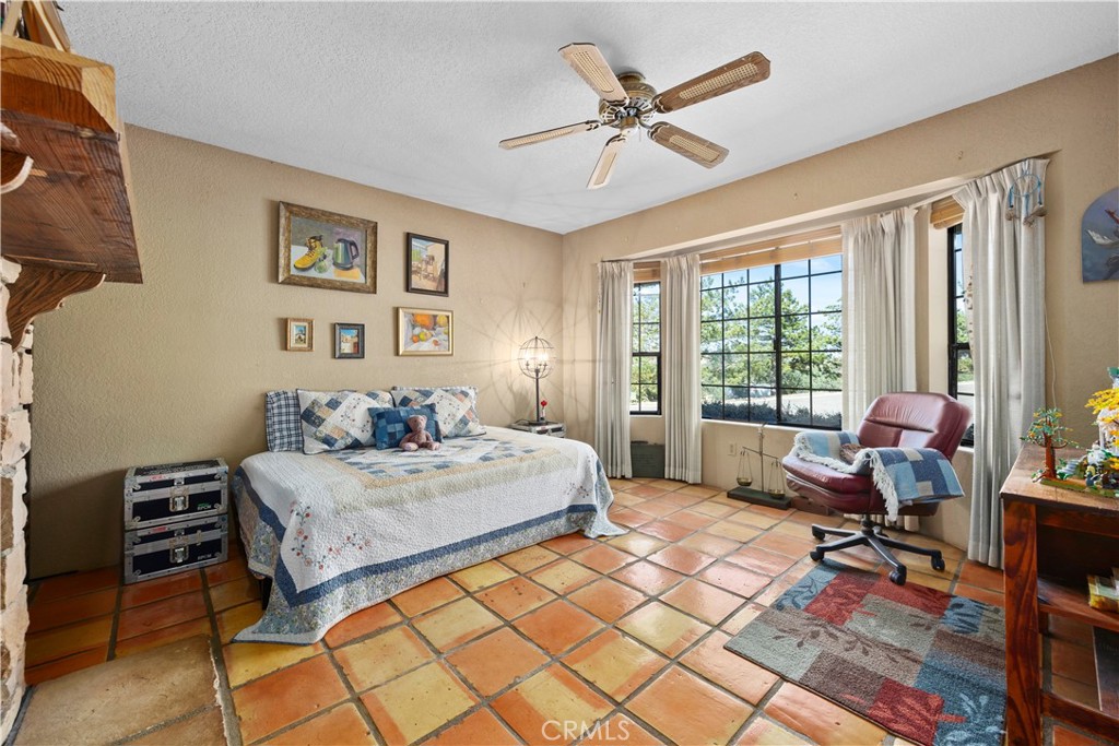 30300 Piebald Court Property Photo 40