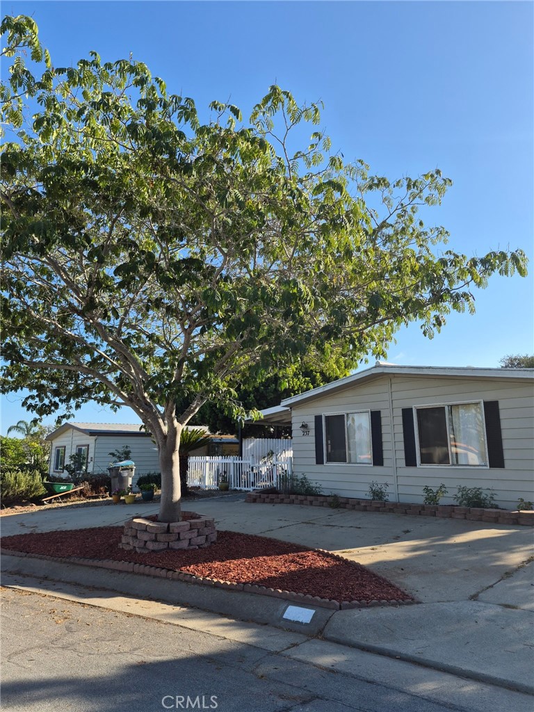237 Lema Property Photo 1