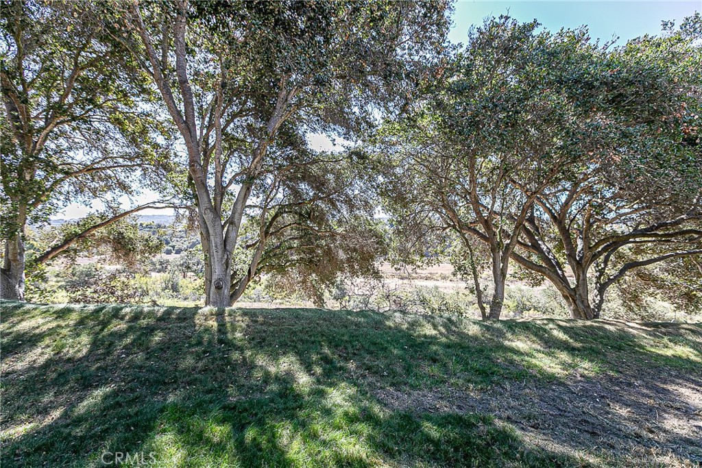 1124 Via Mavis Property Photo 24