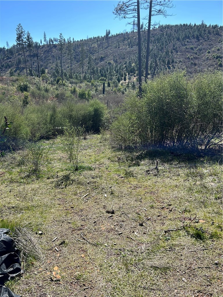 1234 Hog Ranch Rd Property Photo 1