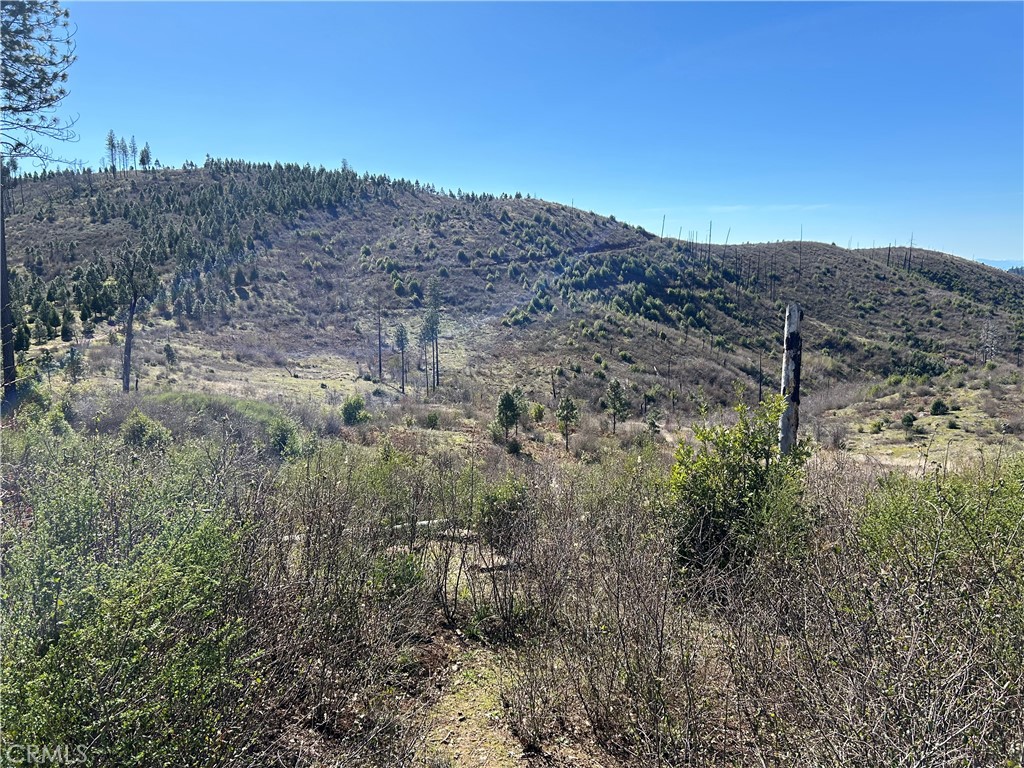 1234 Hog Ranch Rd Property Photo 2