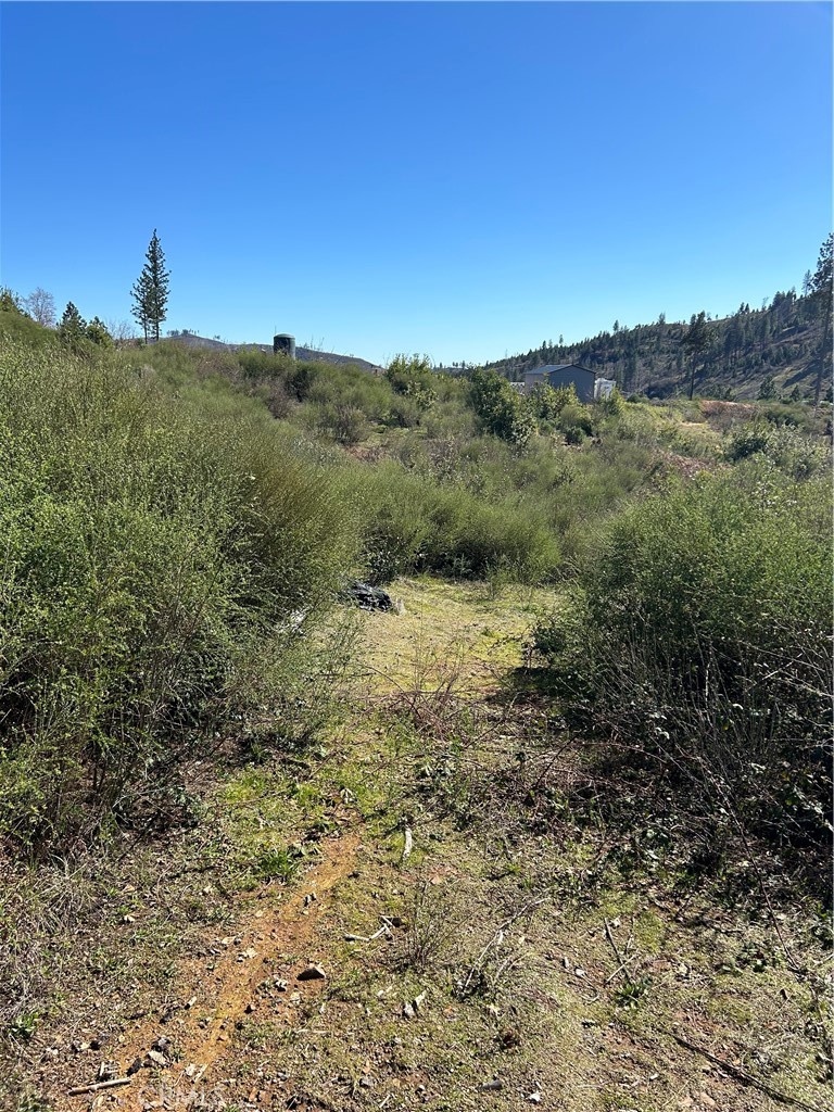 1234 Hog Ranch Rd Property Photo 3