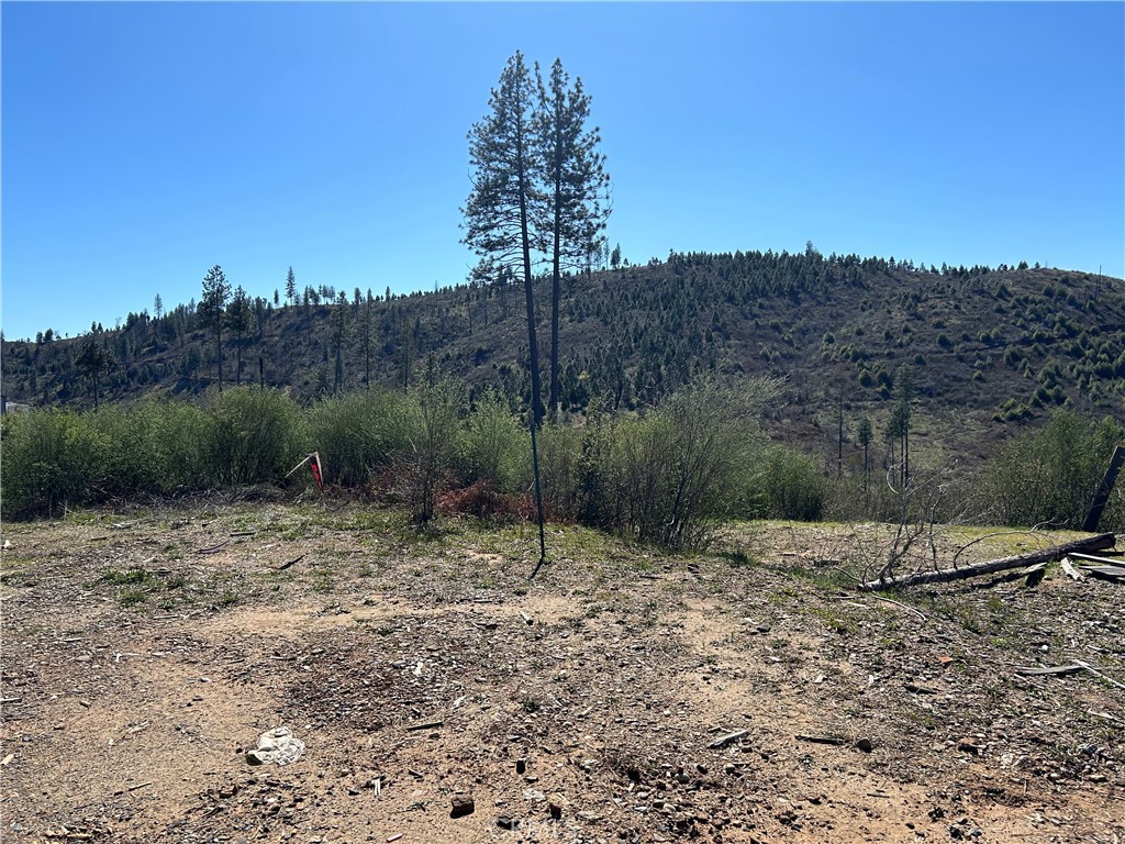 1234 Hog Ranch Rd Property Photo 4