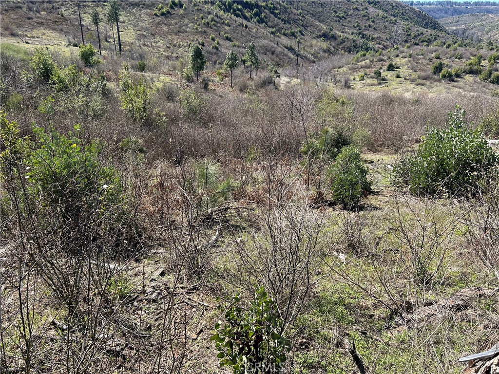 1234 Hog Ranch Rd Property Photo 6