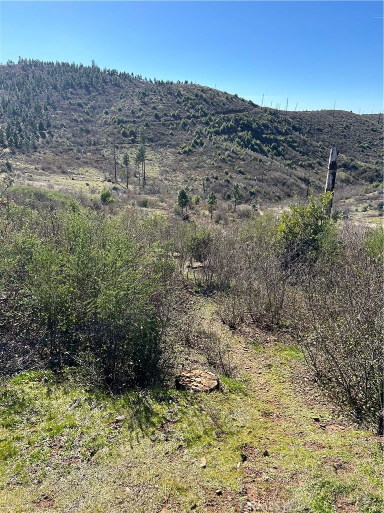 1234 Hog Ranch Rd Property Photo 8