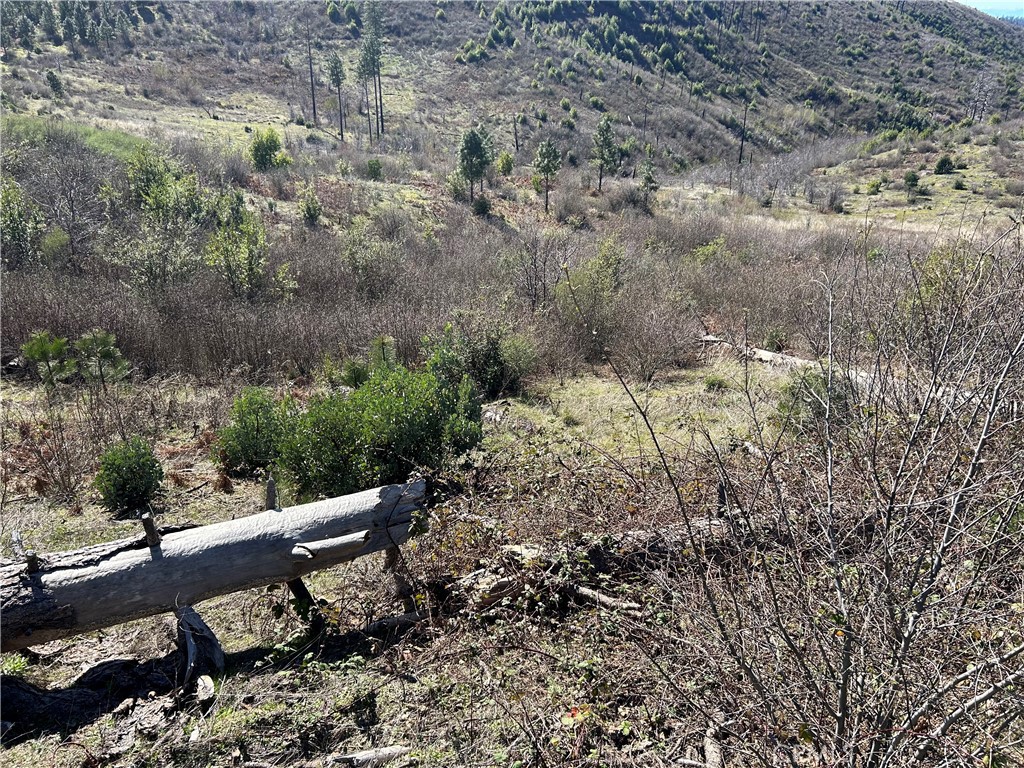 1234 Hog Ranch Rd Property Photo 11