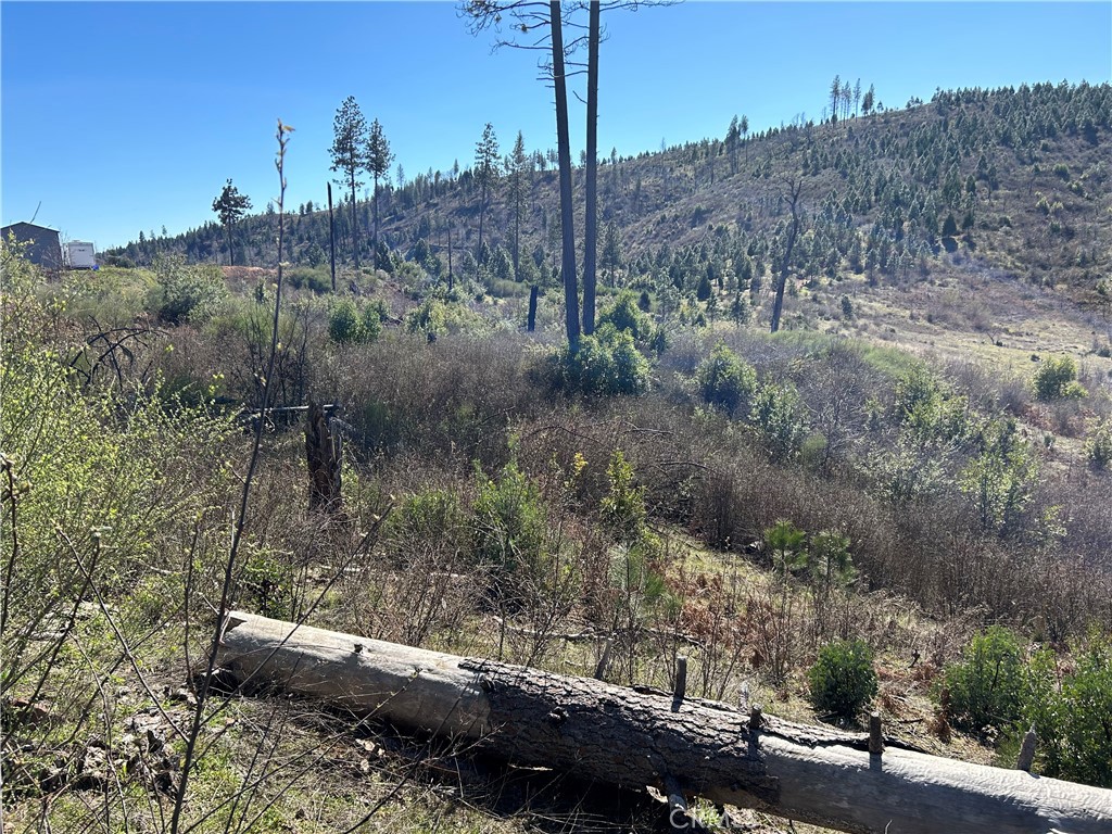 1234 Hog Ranch Rd Property Photo 12