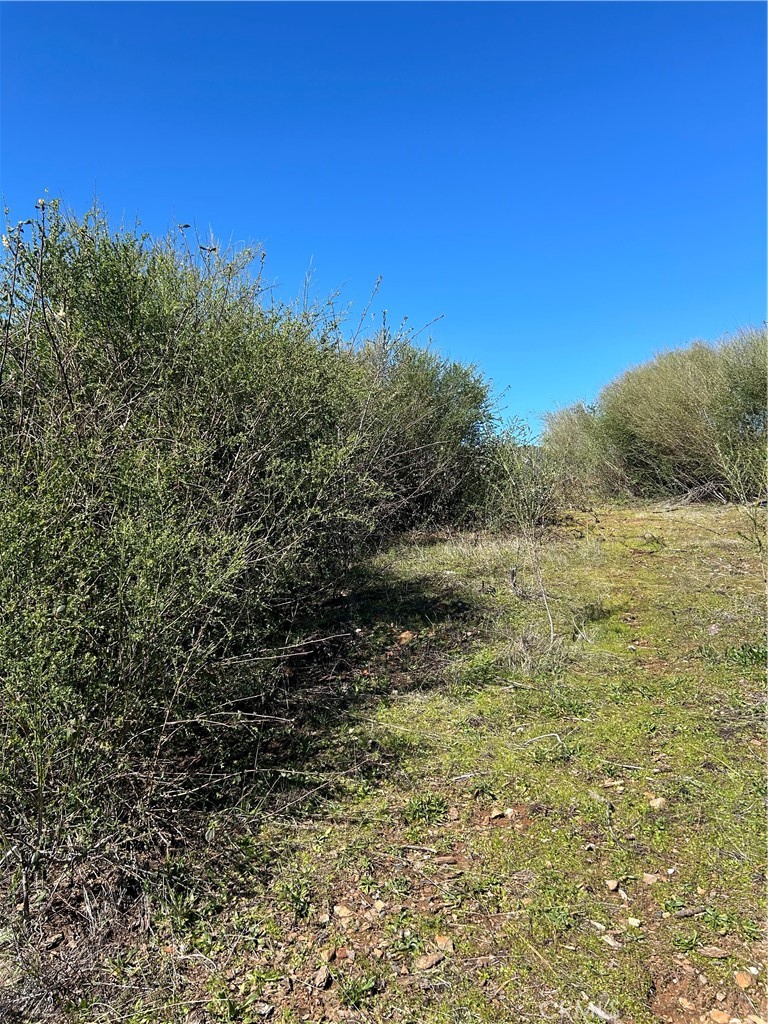 1234 Hog Ranch Rd Property Photo 13