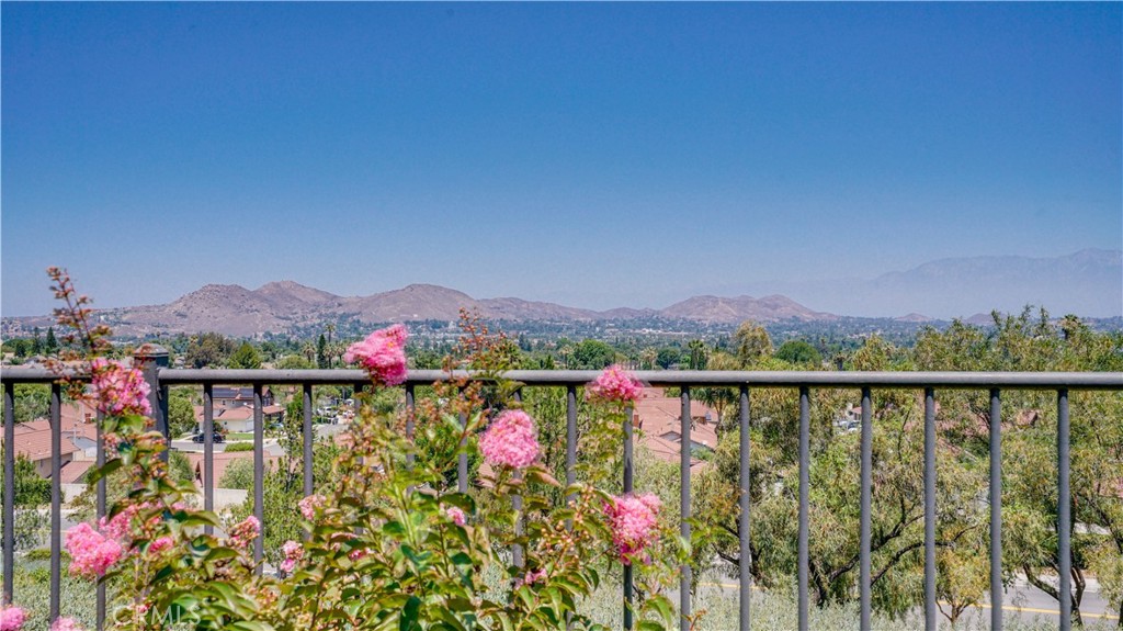 17076 First Light Property Photo 47