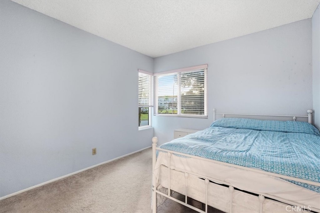 17017 Mount Lilita Court Property Photo 11