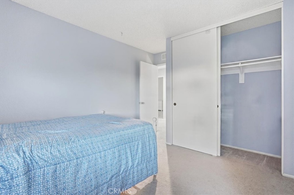 17017 Mount Lilita Court Property Photo 12