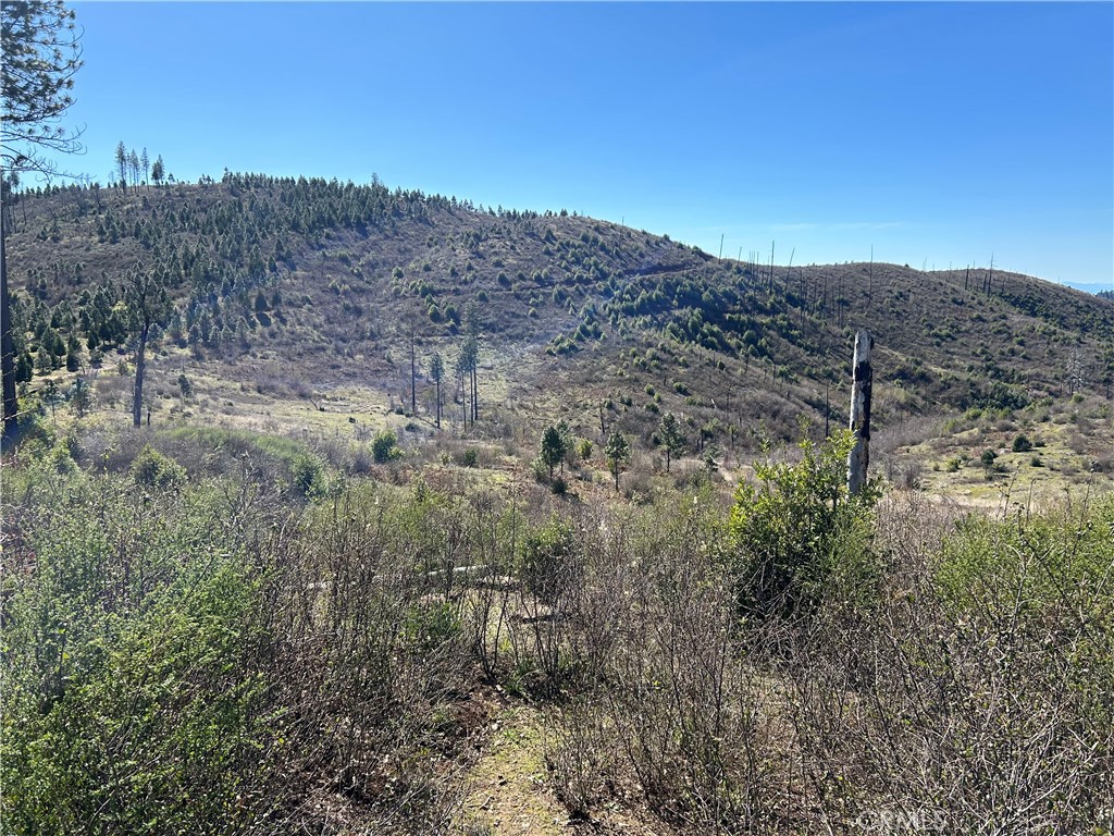 1234 Hog Ranch Rd Property Photo 1