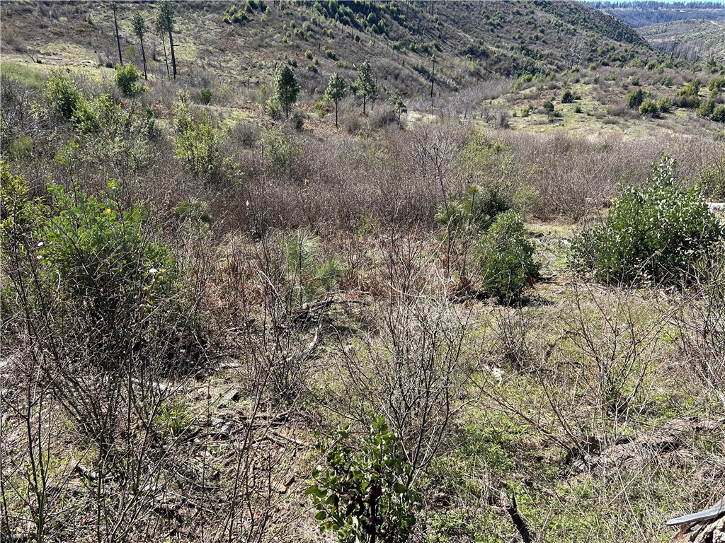 1234 Hog Ranch Rd Property Photo 2
