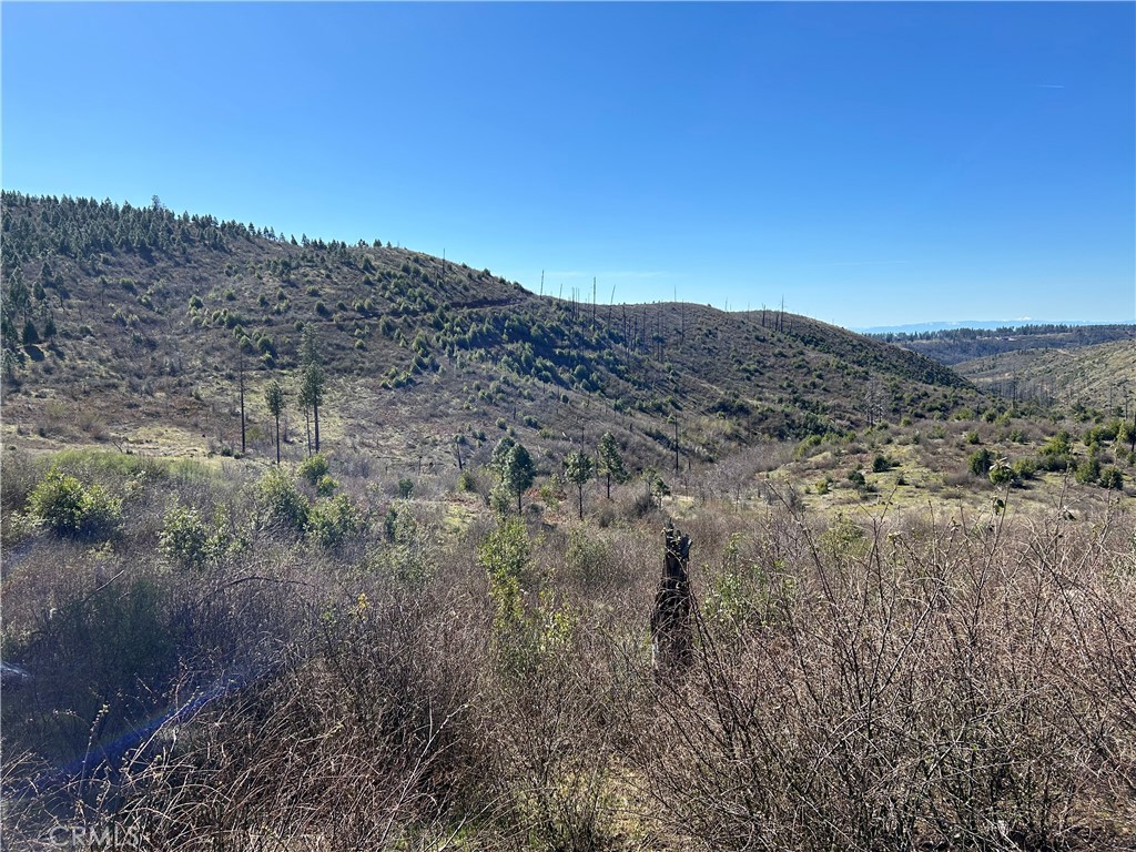 1234 Hog Ranch Rd Property Photo 4