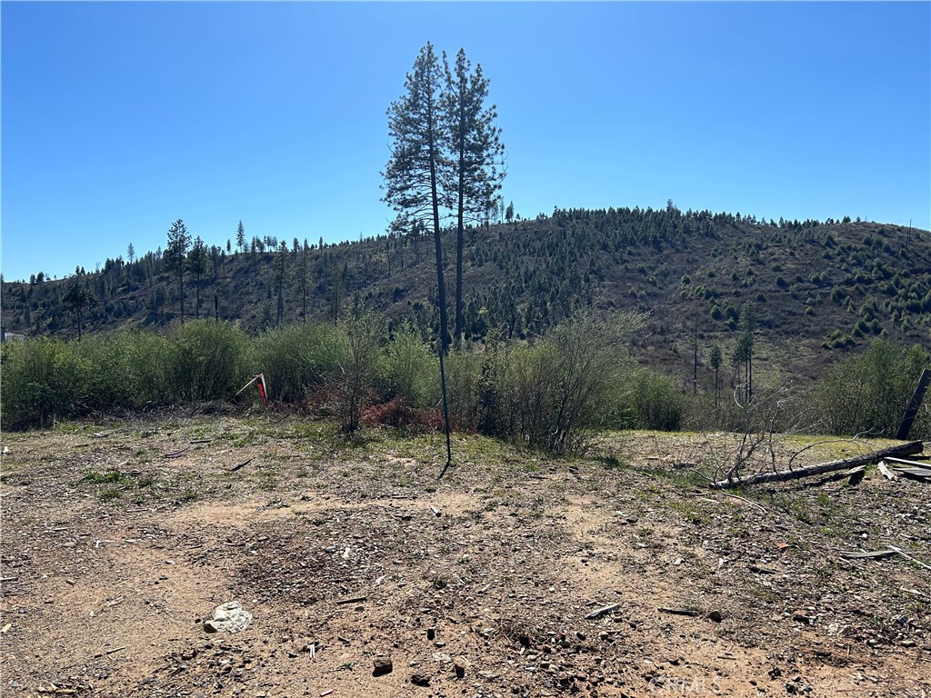 1234 Hog Ranch Rd Property Photo 7