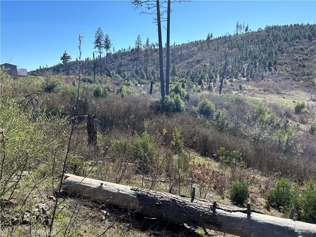 1234 Hog Ranch Rd Property Photo 12