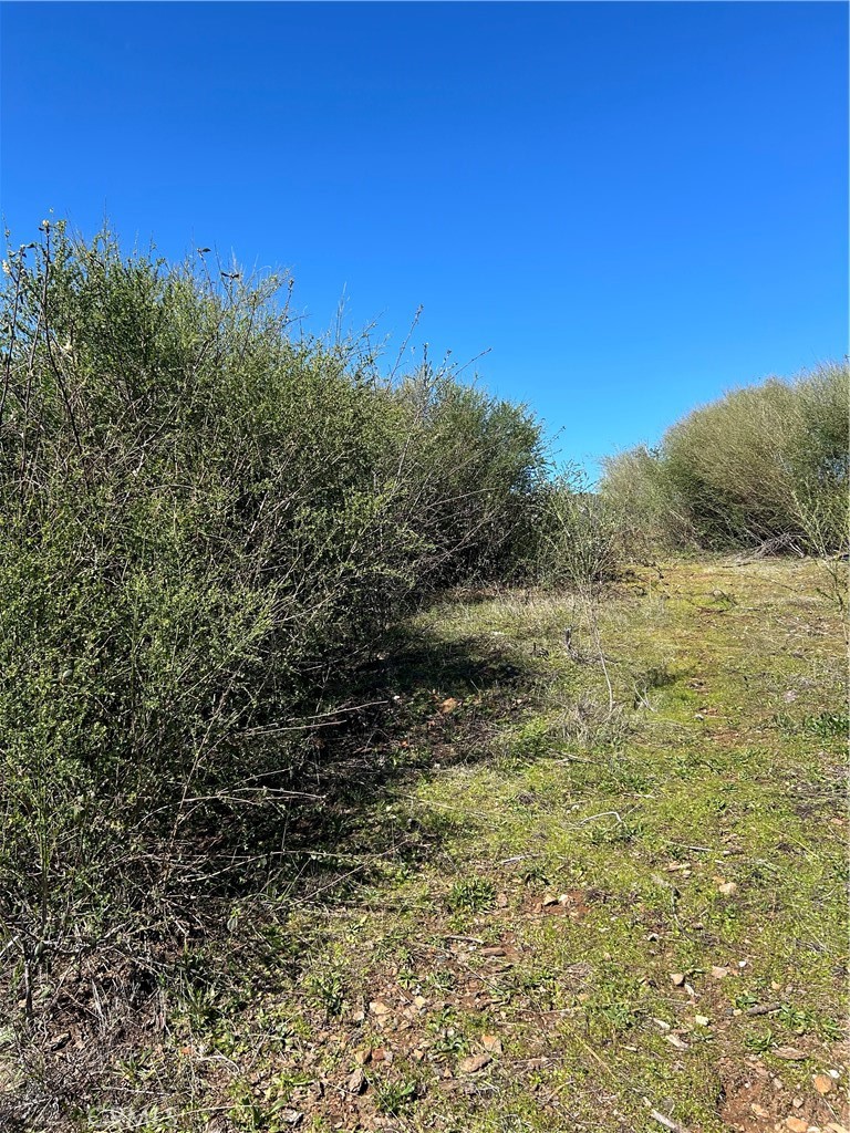 1234 Hog Ranch Rd Property Photo 13