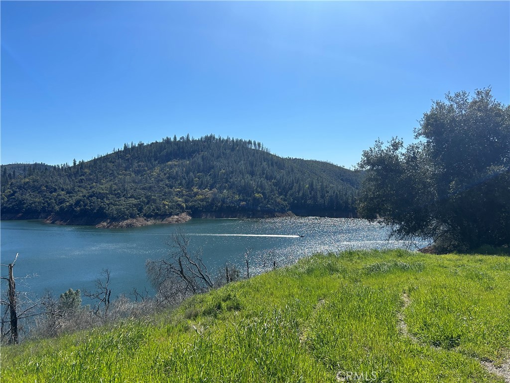 1234 Hog Ranch Rd Property Photo 19