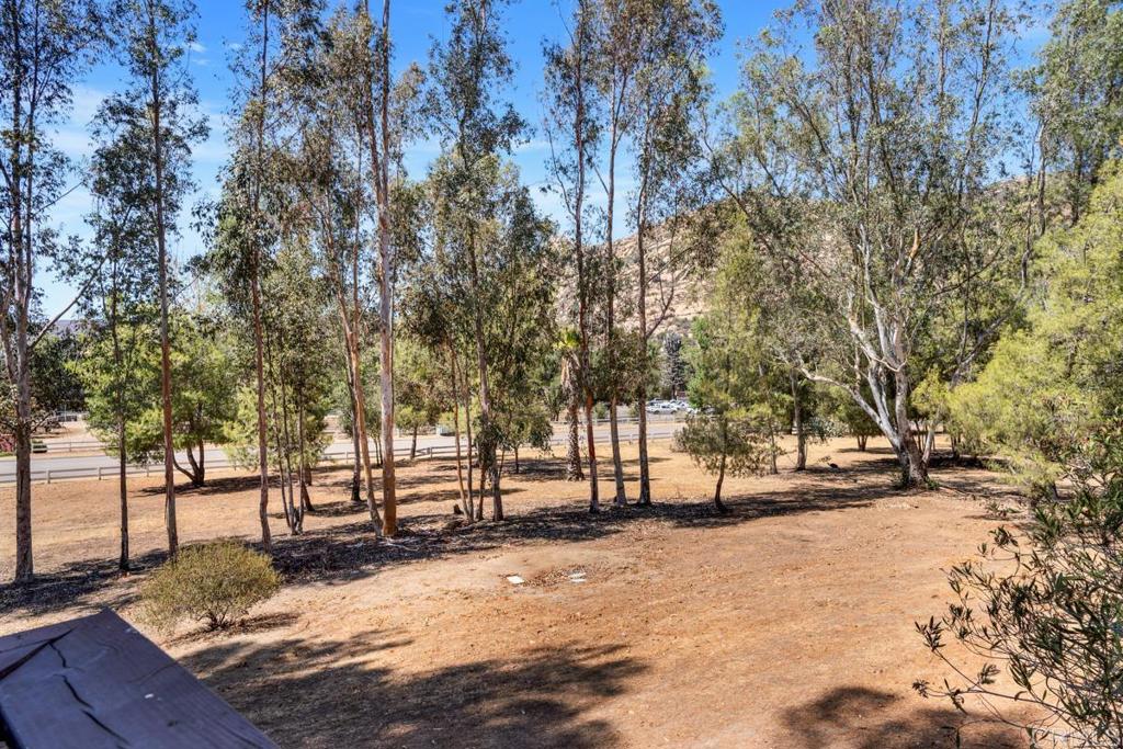 15828 Davis Cup Lane Property Photo 28