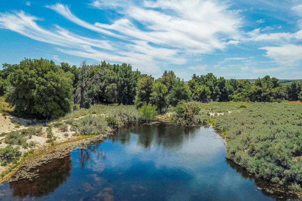 160 Acres Canebrake Property Photo 4