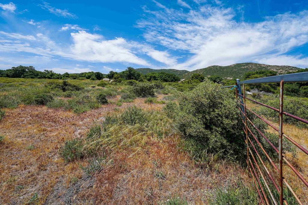160 Acres Canebrake Property Photo 5