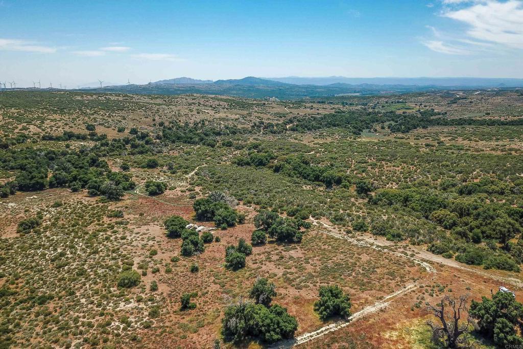 160 Acres Canebrake Property Photo 6