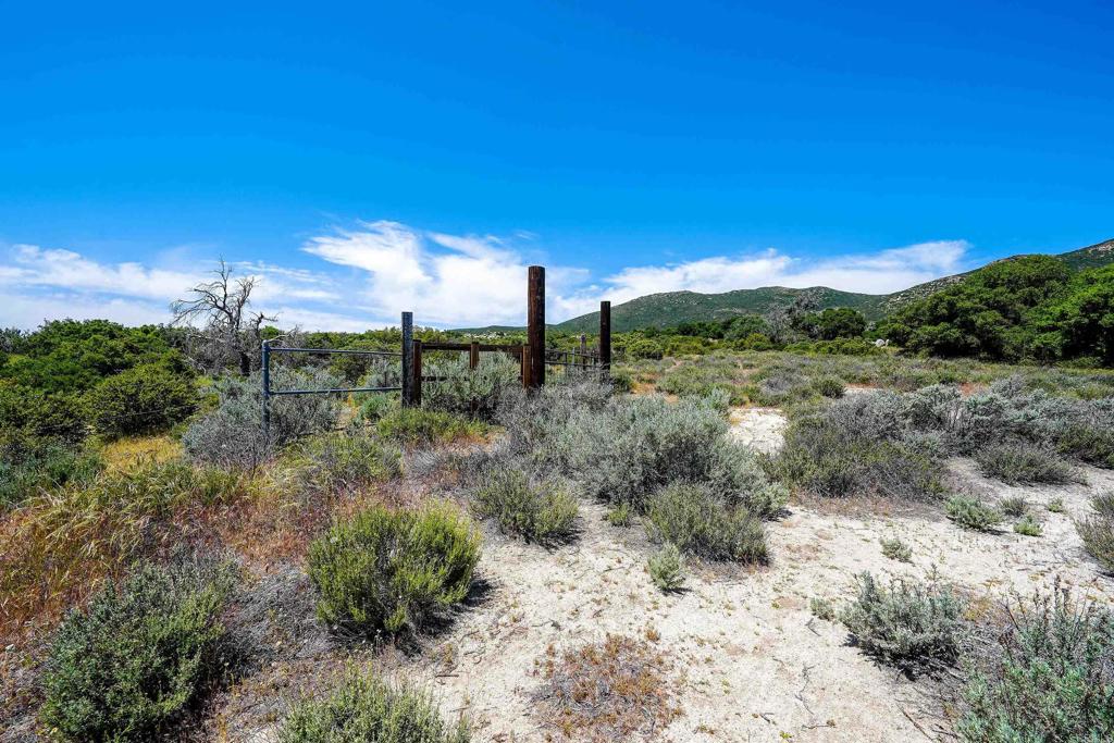 160 Acres Canebrake Property Photo 7