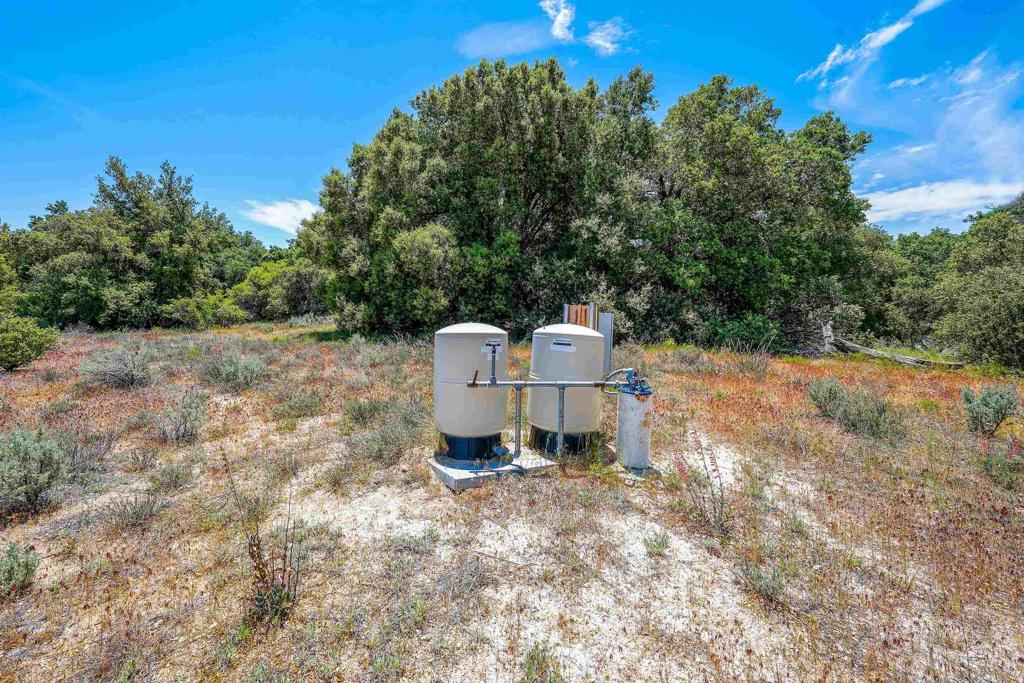 160 Acres Canebrake Property Photo 9