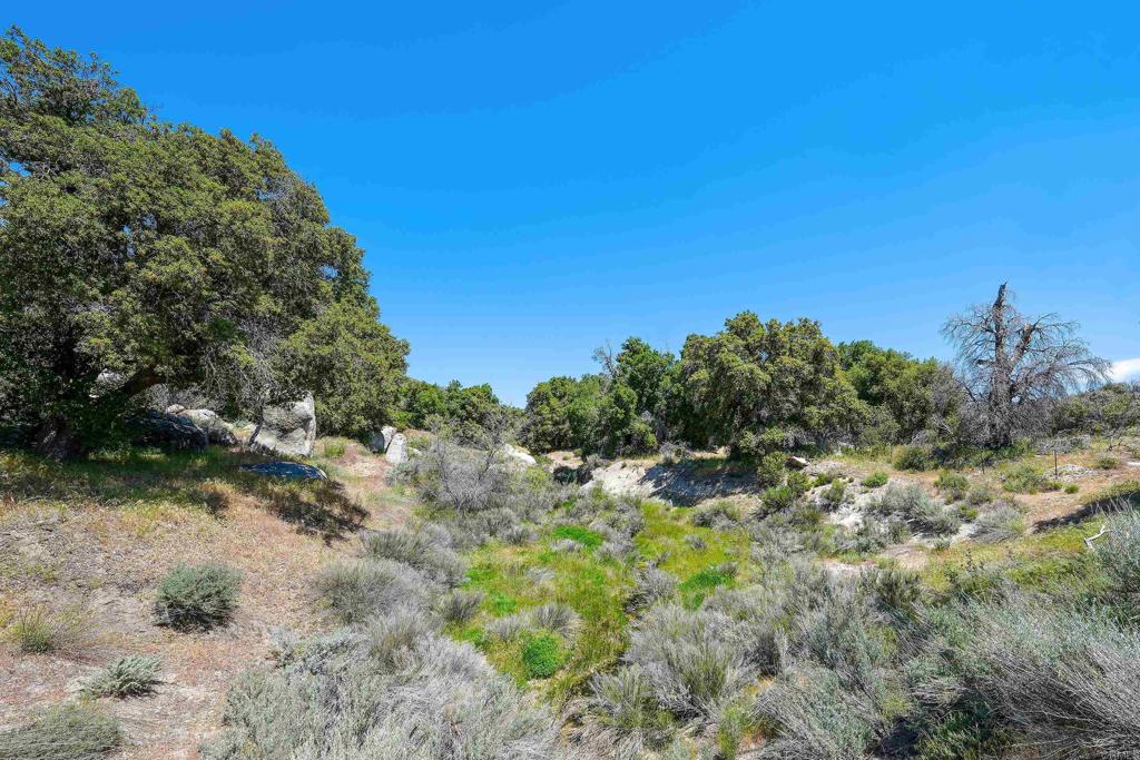 160 Acres Canebrake Property Photo 11