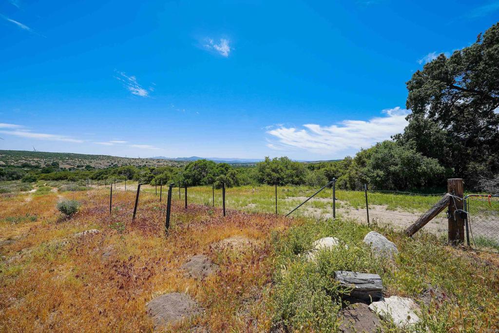 160 Acres Canebrake Property Photo 12