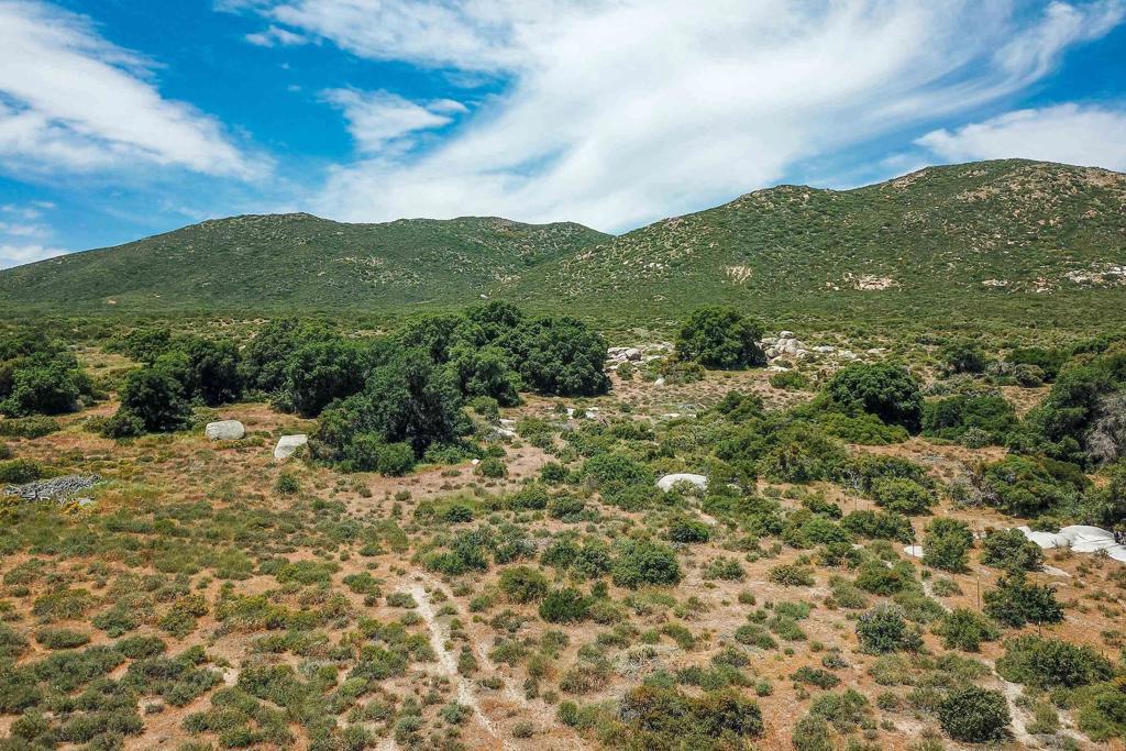 160 Acres Canebrake Property Photo 13
