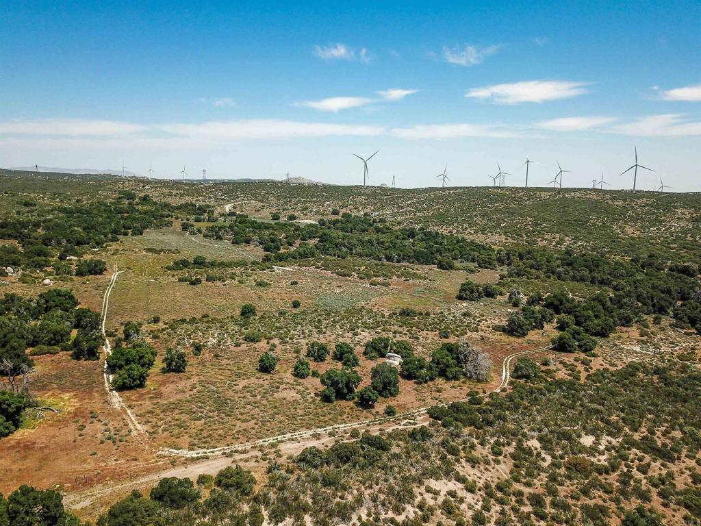 160 Acres Canebrake Property Photo 14