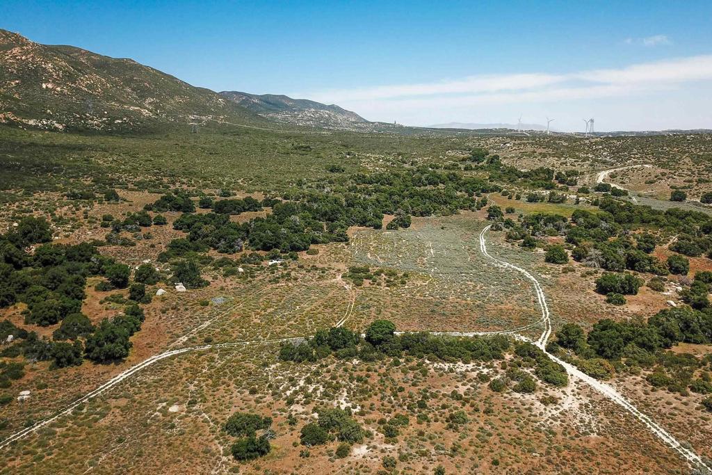 160 Acres Canebrake Property Photo 17