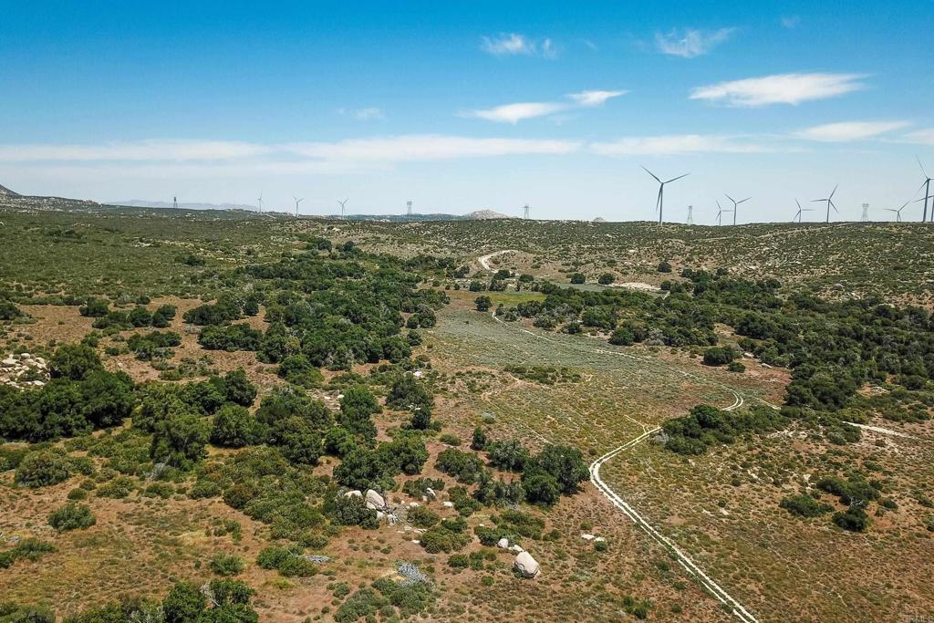 160 Acres Canebrake Property Photo 18
